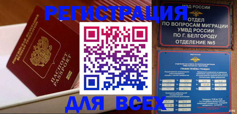 временная регистрация в Михайловке